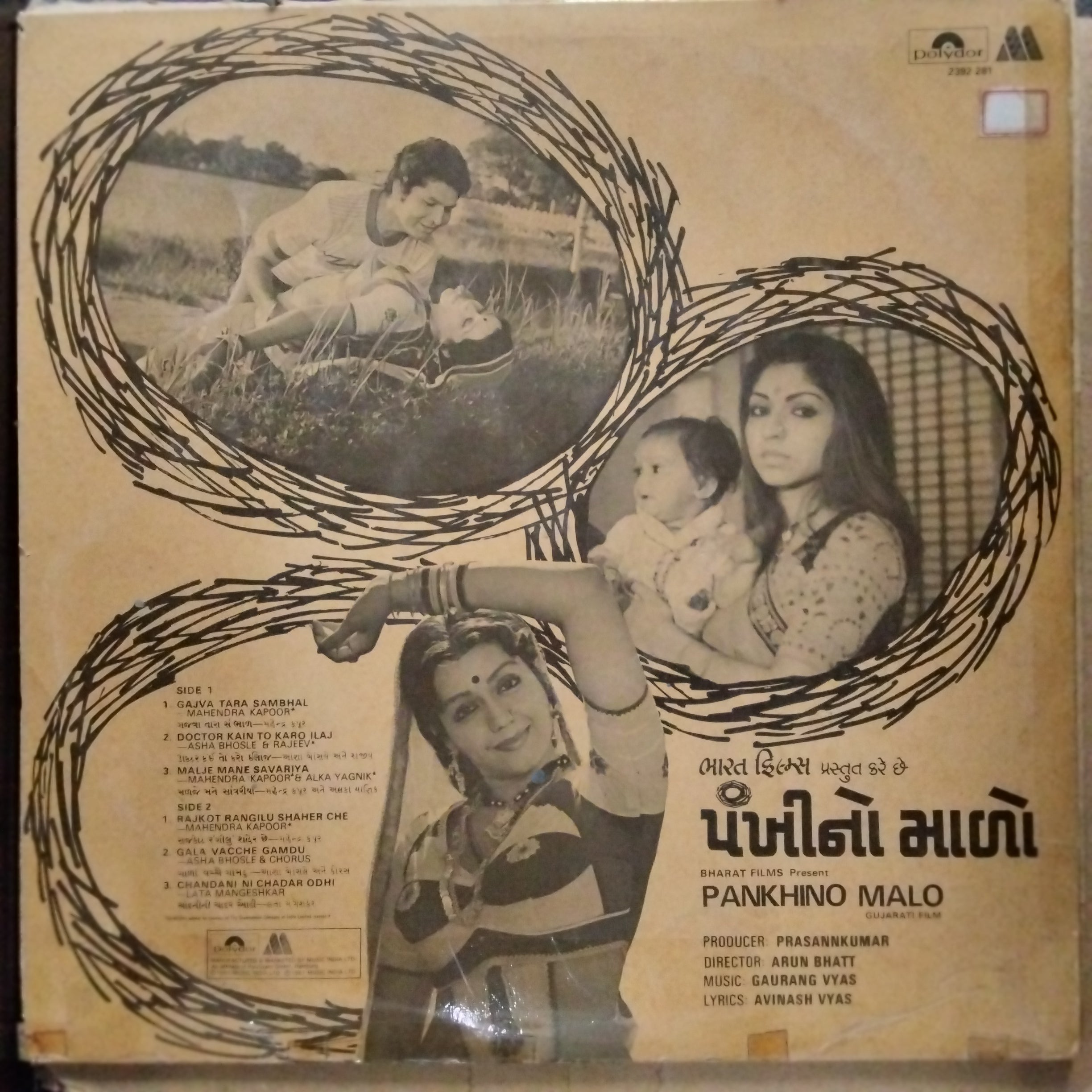 Gaurang Vyas  - Pankhino Malo (Vinyl)