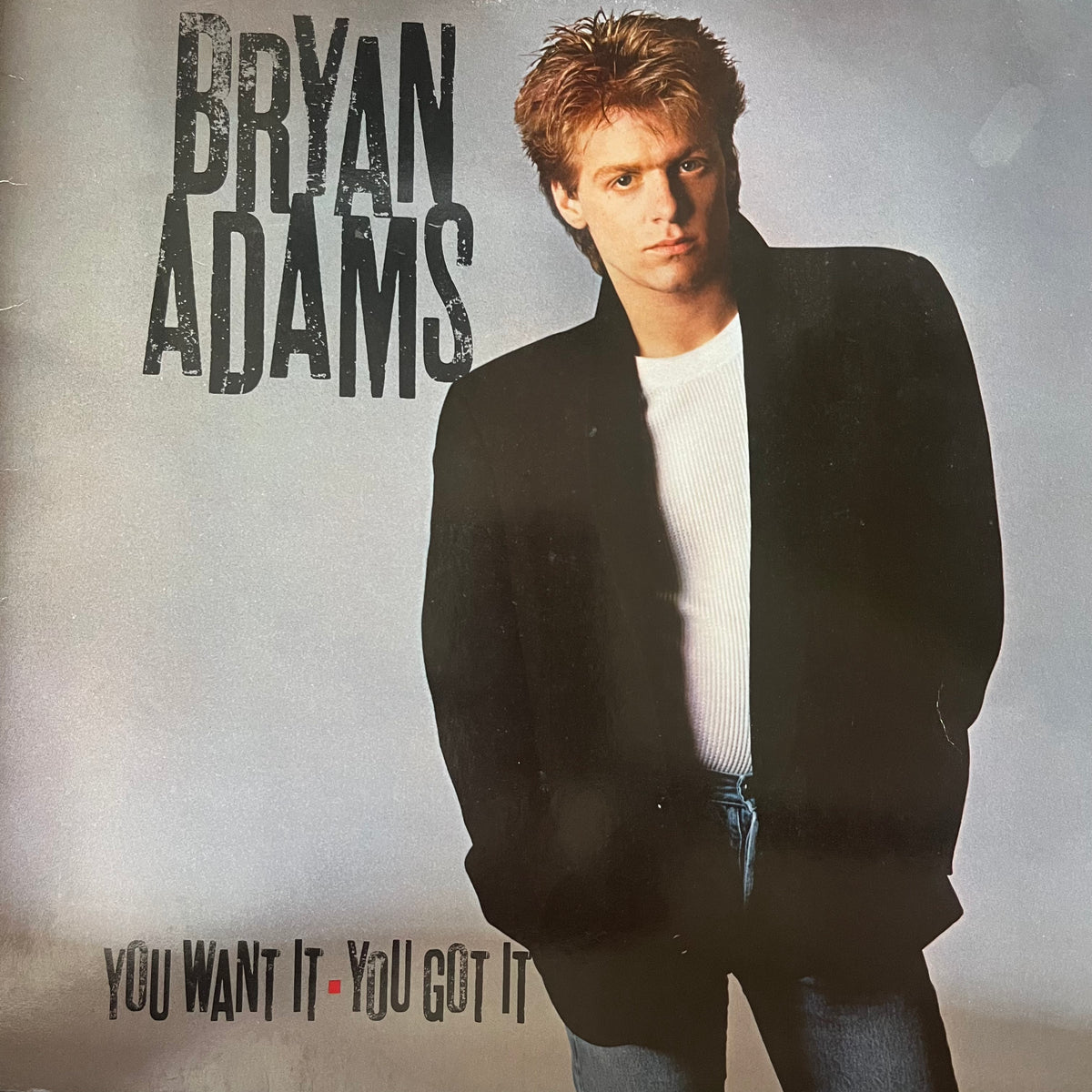 Bryan Adams - You Want It You Got It (Vinyl)