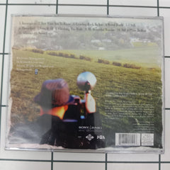 Backstreet Boys - Never Gone (CD)