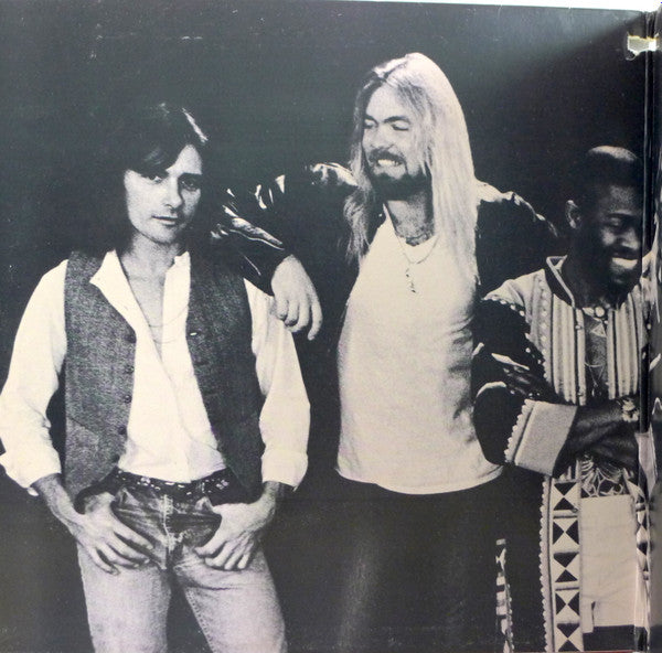 Allman Brothers Band, The - Enlightened Rogues (Vinyl)