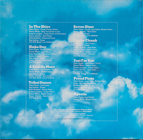 Peter Green (2) - In The Skies (Vinyl)