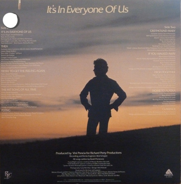 David Pomeranz - It's In Everyone Of Us (Vinyl)