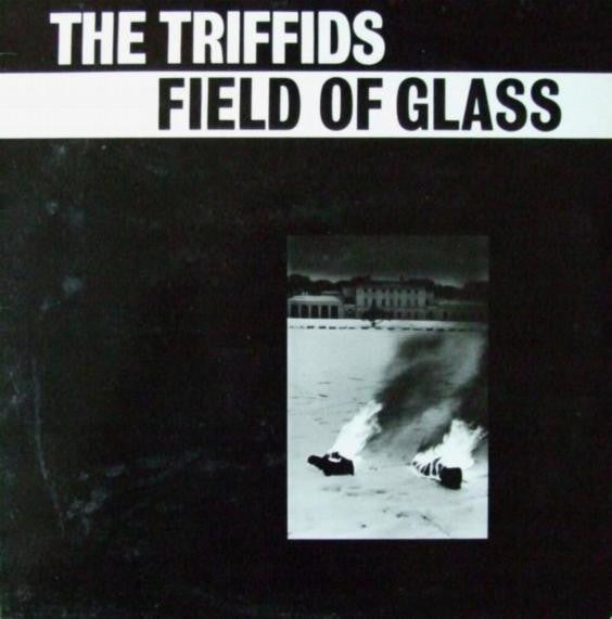 Triffids, The - Field Of Glass (Vinyl)