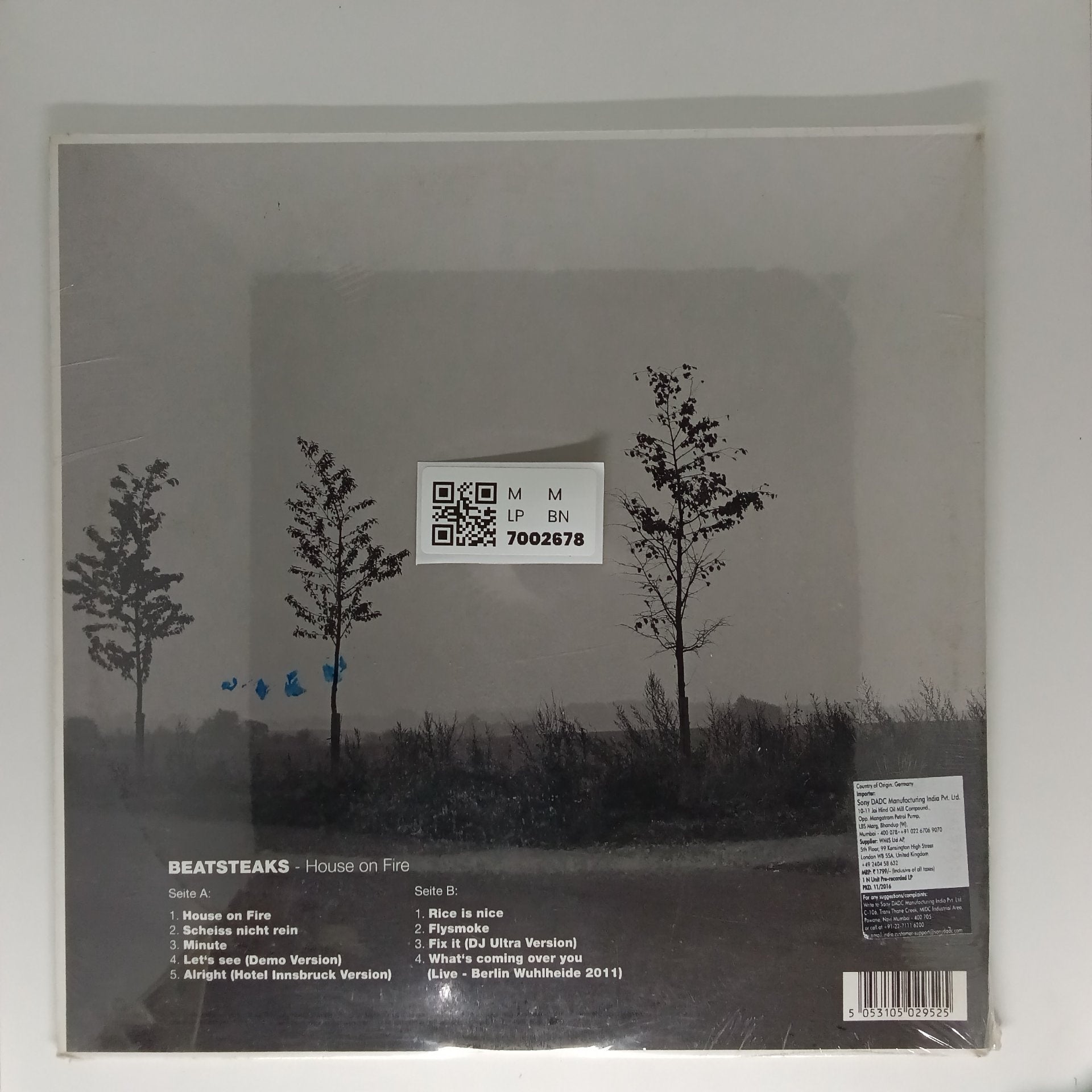 Beatsteaks - House on Fire (Vinyl)