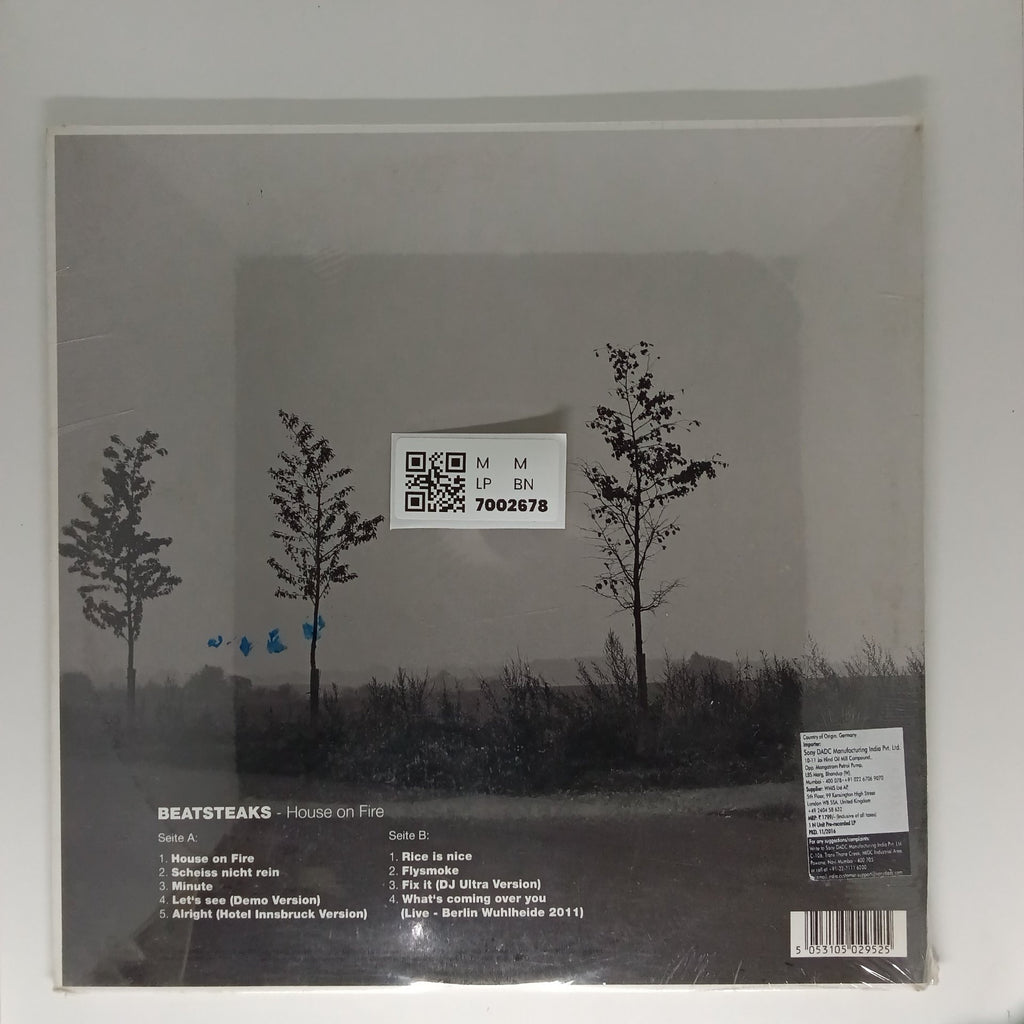 Beatsteaks - House on Fire (Vinyl)