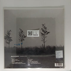 Beatsteaks - House on Fire (Vinyl)