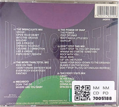 The Vision Mastermixers - Immaculate Mixes (CD)