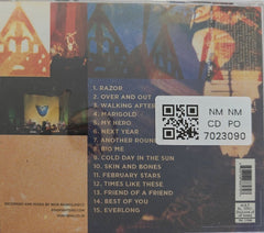 Foo Fighters - Skin and Bones (CD)