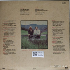 America - View From The Ground (Vinyl)