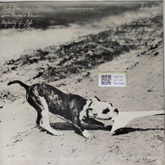 Phoebe Snow - Never Letting Go (Vinyl)