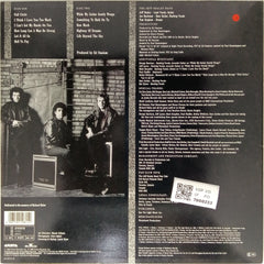 The Jeff Healey Band - Hell To Pay (Vinyl)