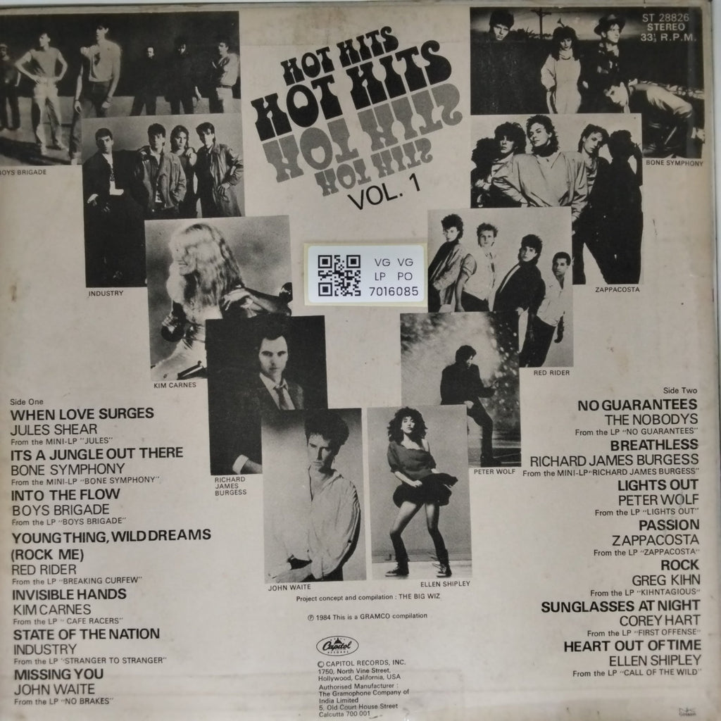Various - Hot Hits Vol. 1 (Vinyl)