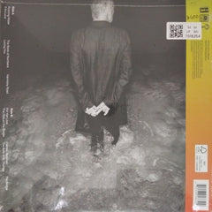 Sting - The Bridge (Vinyl)