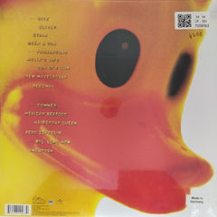 Nirvana - Incesticide (Vinyl)