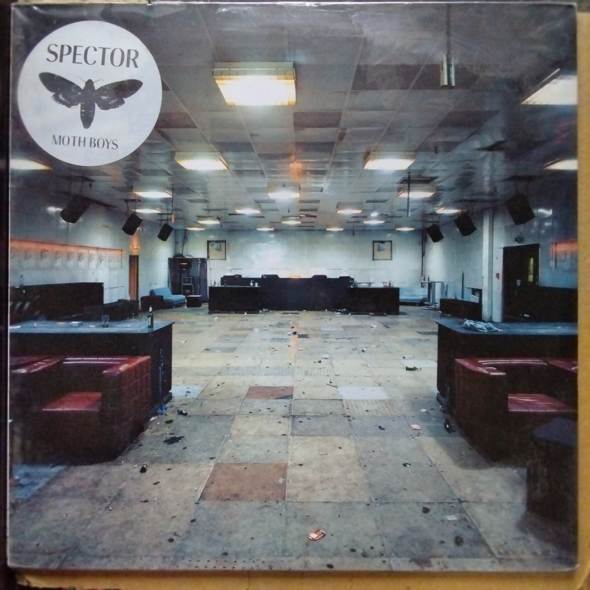 Spector (6)  - Moth Boys (Vinyl)