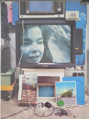 Björk - Vessel (Music-DVD)