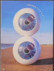 Pink Floyd - Pulse (Music-DVD) (2)