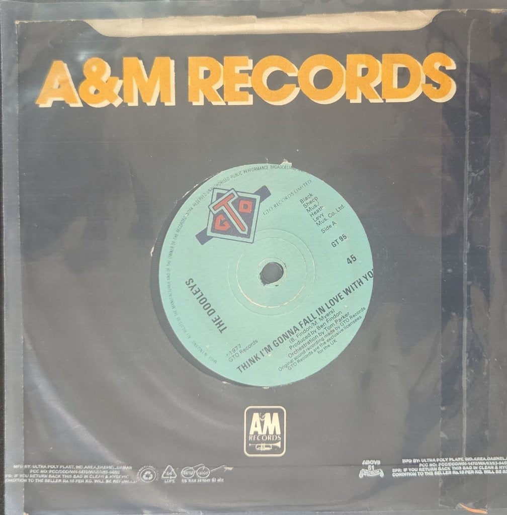 The Dooleys - Think I'm Gonna Fall in Love with You (45-RPM)