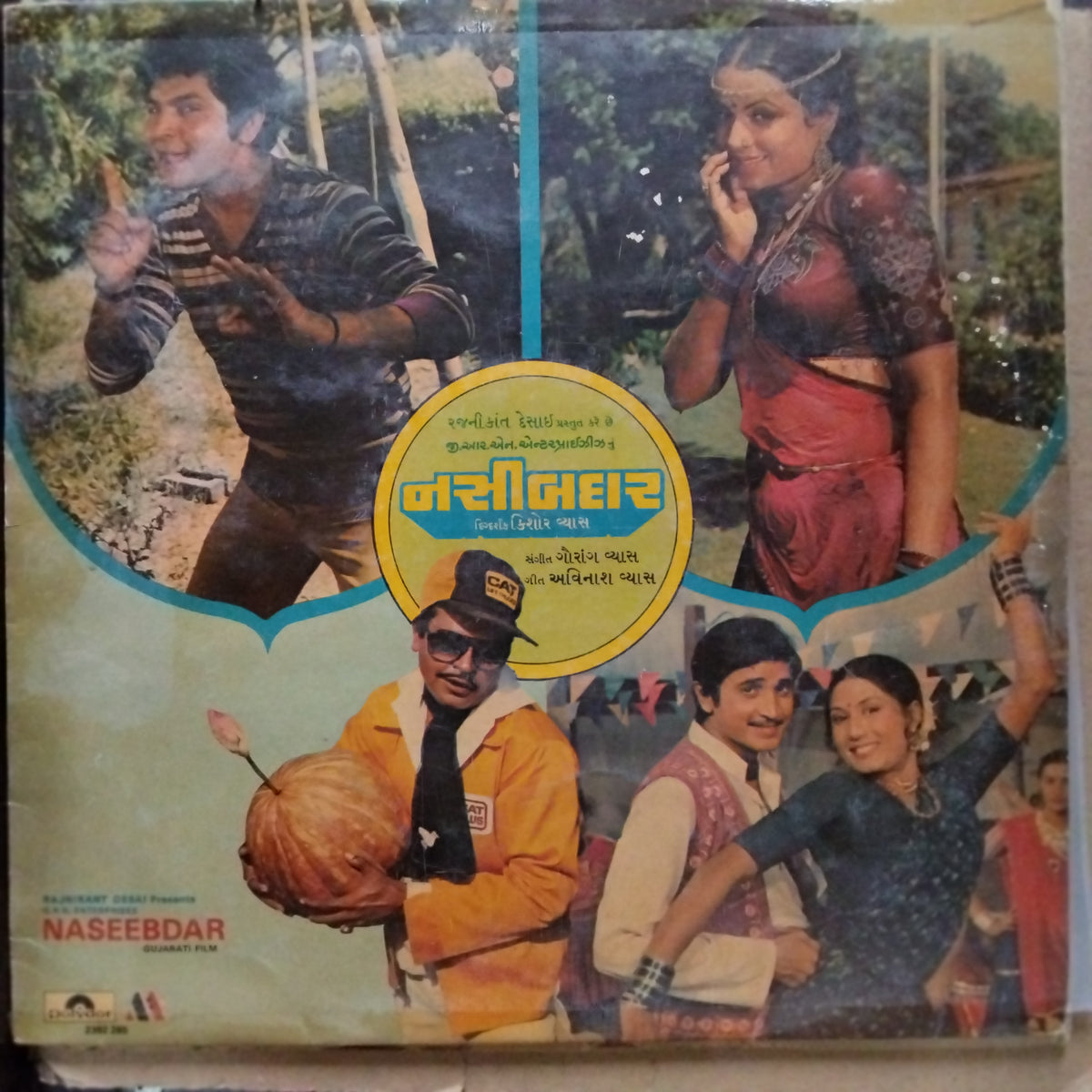 Gaurang Vyas  - Naseebdar (Vinyl)