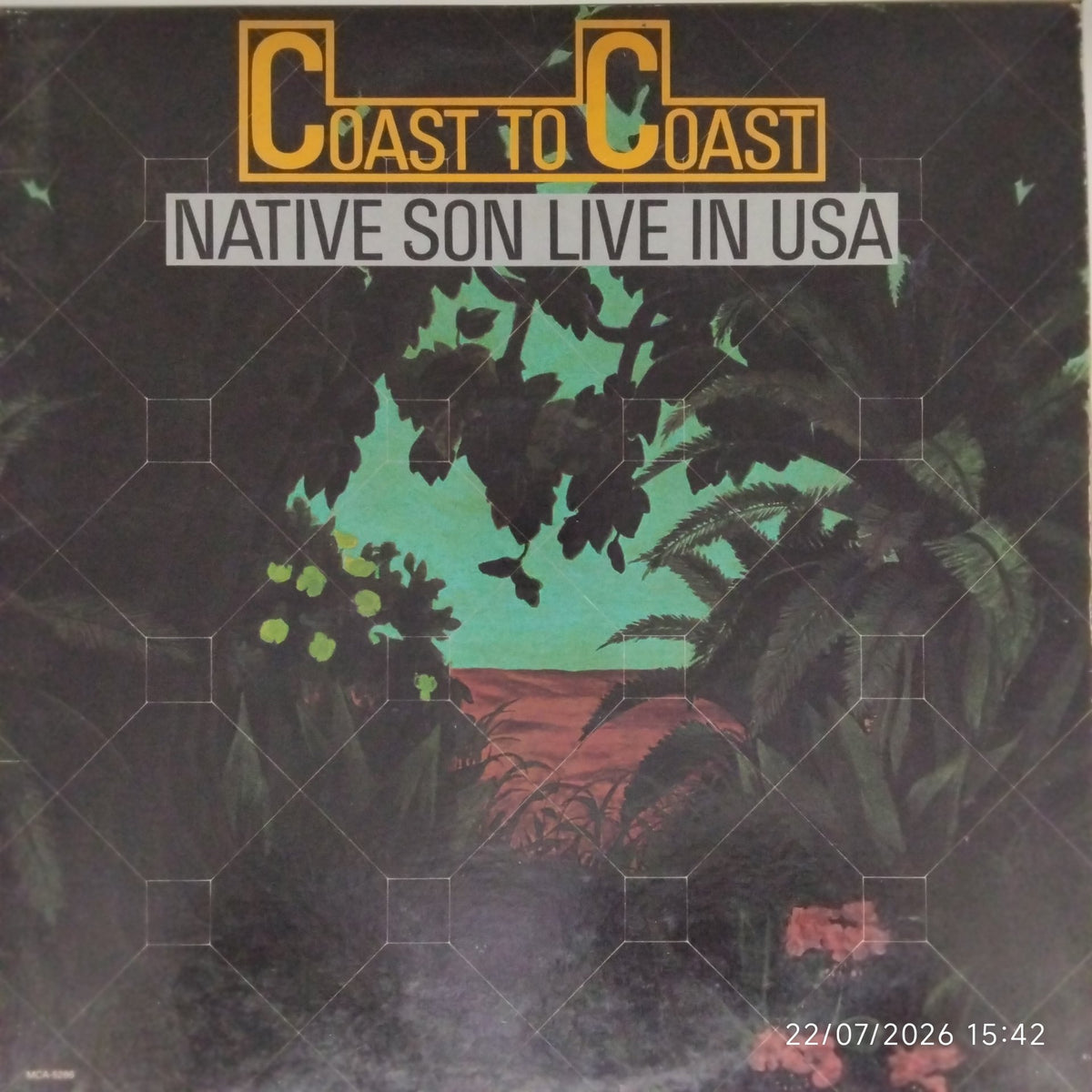 Native Son - Coast to Coast Native Son Live in USA (Vinyl)