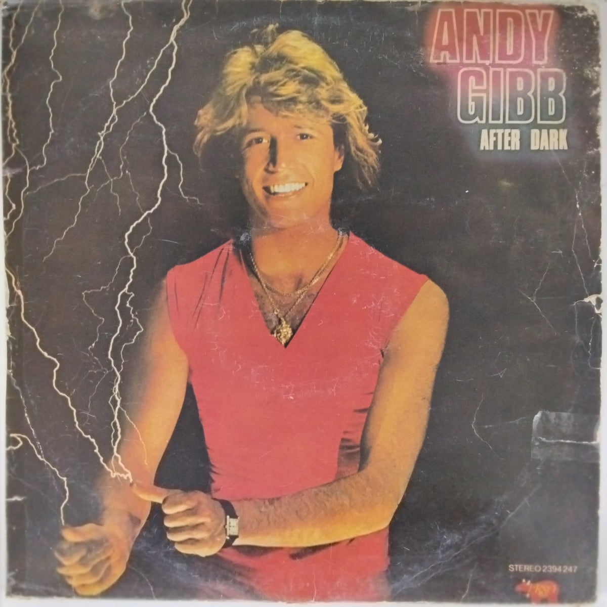 Andy Gibb - After Dark (Vinyl)