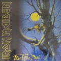 Iron Maiden - Fear of the Dark (Vinyl)