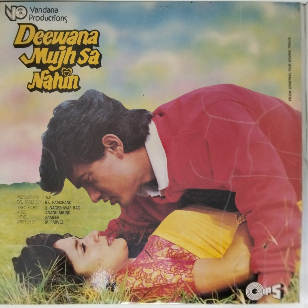 Anand Milind - Deewana Mujh Sa Nahin (Vinyl)