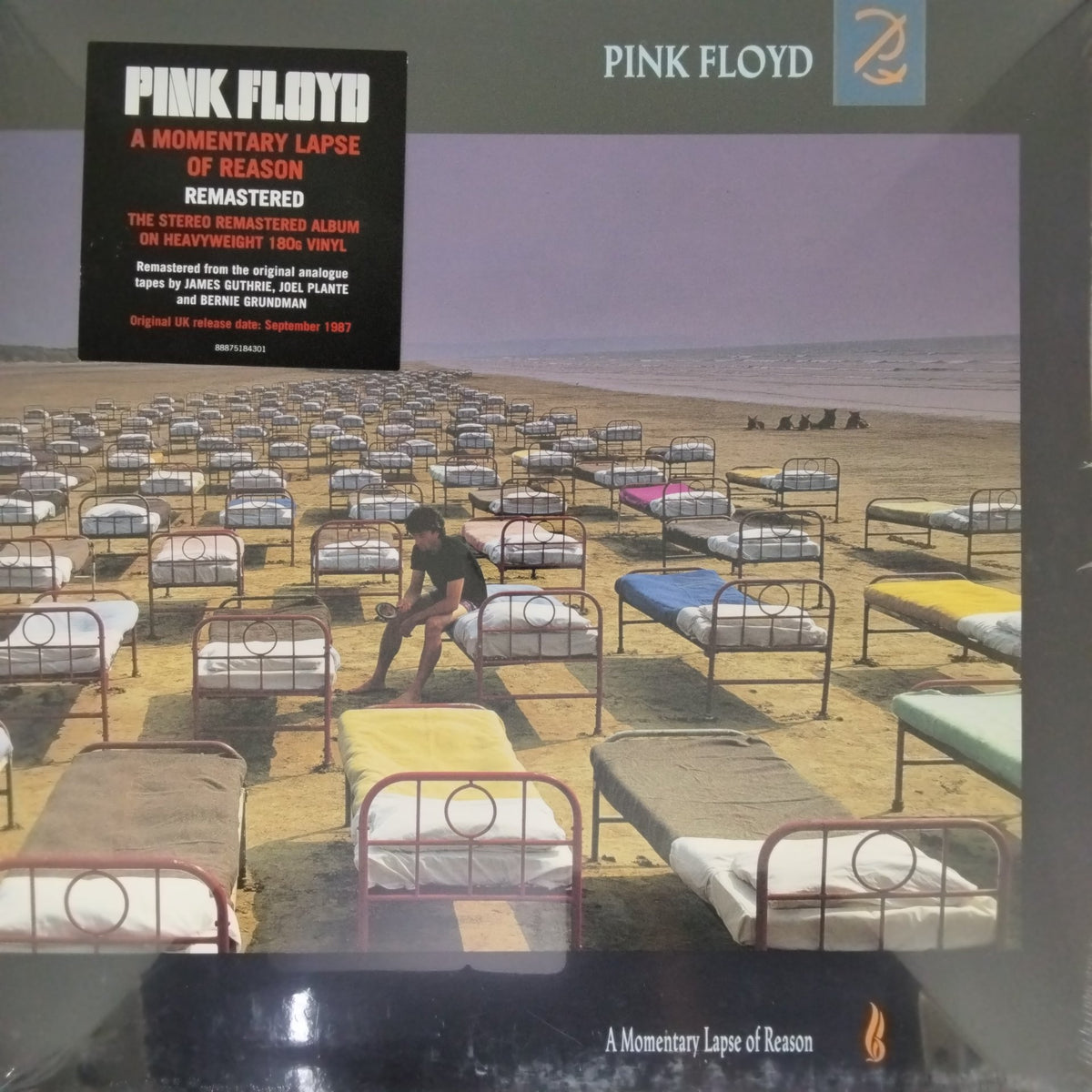 Pink Floyd - A Momentary Lapse of Reason (Vinyl)