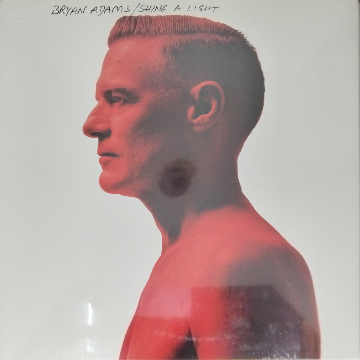 Bryan Adams - Shine a Light (Vinyl)