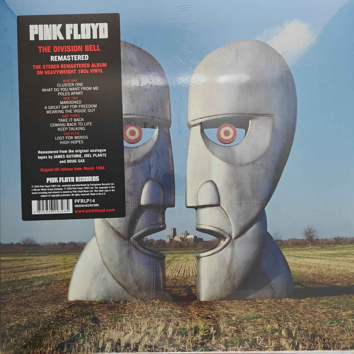 Pink Floyd - The Division Bell (Vinyl) (2)