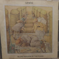 Genesis - Selling England by the Pound (CD)