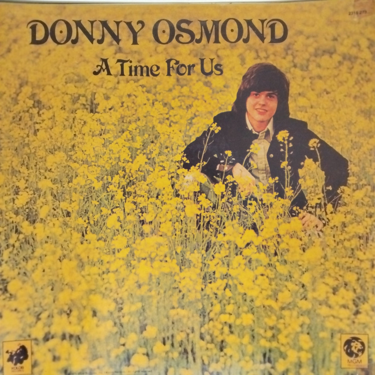 Donny Osmond - A Time For Us (Vinyl)