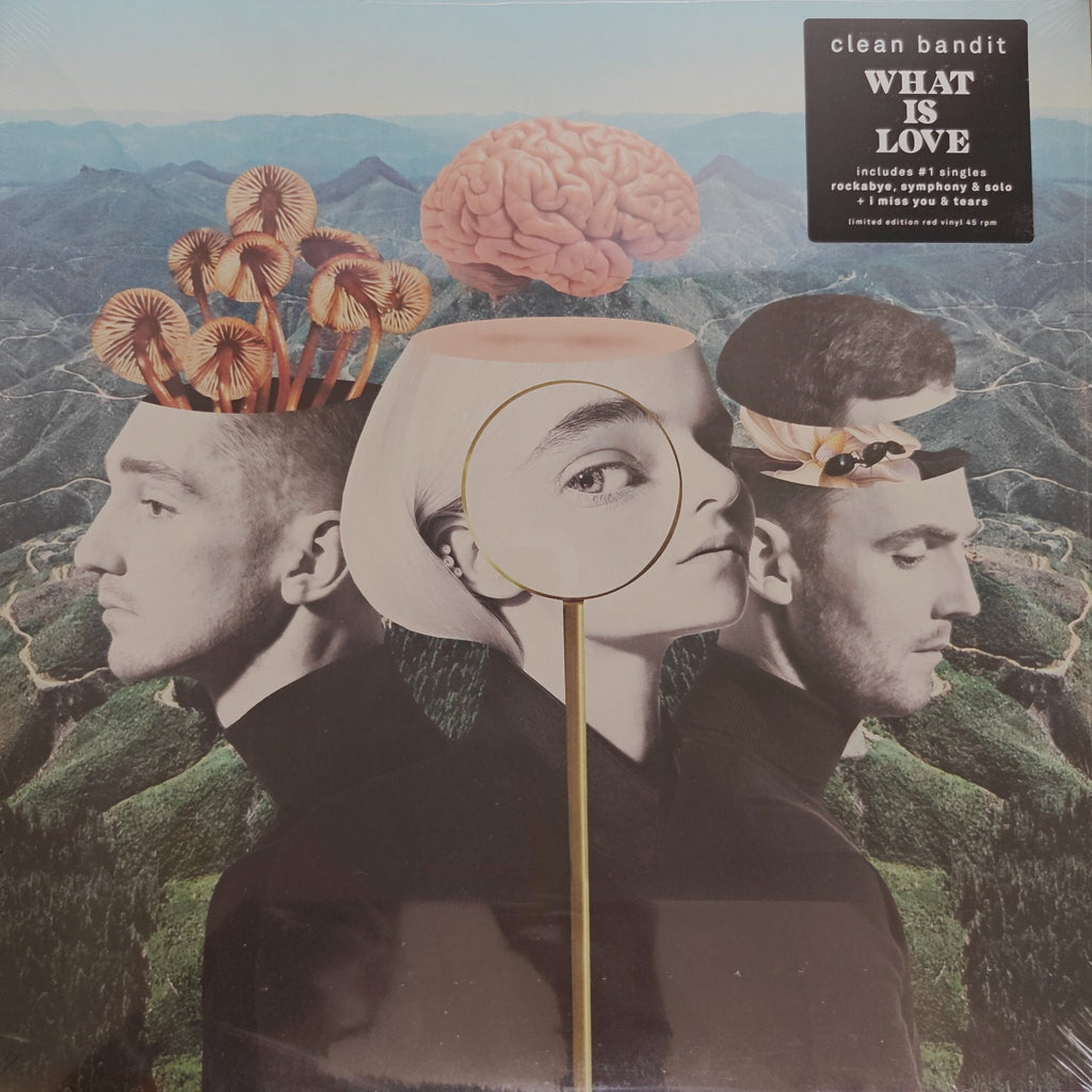 Clean Bandit - What Is Love (Vinyl) (2)