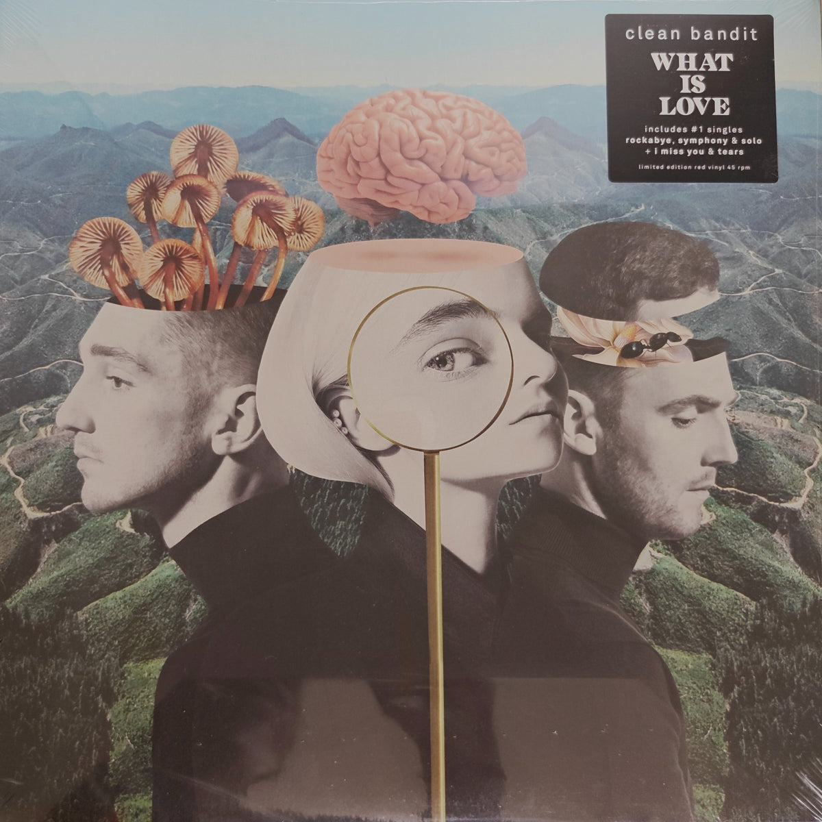 Clean Bandit - What Is Love (Vinyl) (2)
