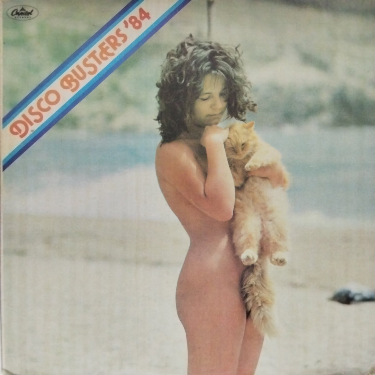 Various - Disco Busters '84 (Vinyl)