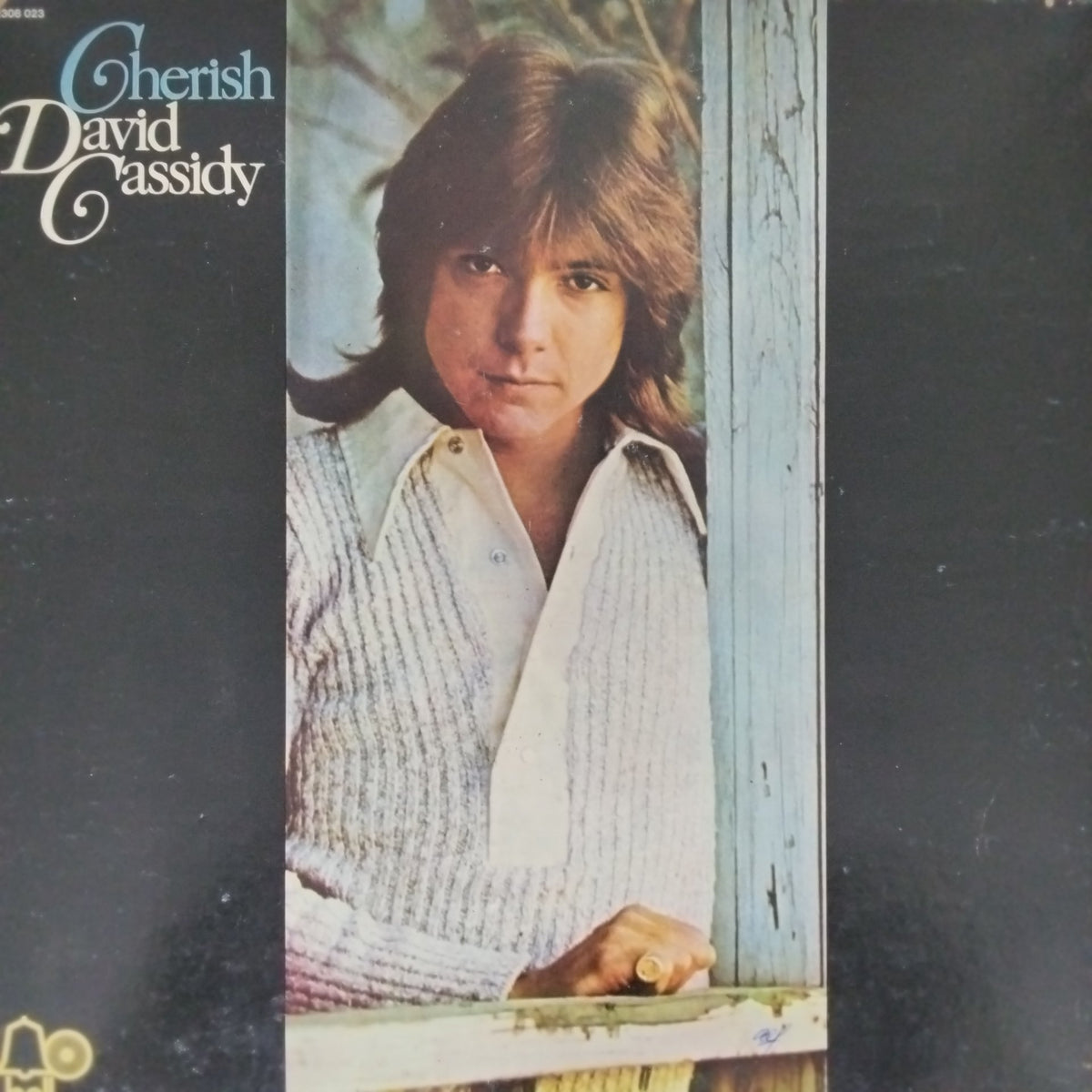 David Cassidy - Cherish (Vinyl)