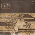 Firoz Nizami - Jugnu (Vinyl)