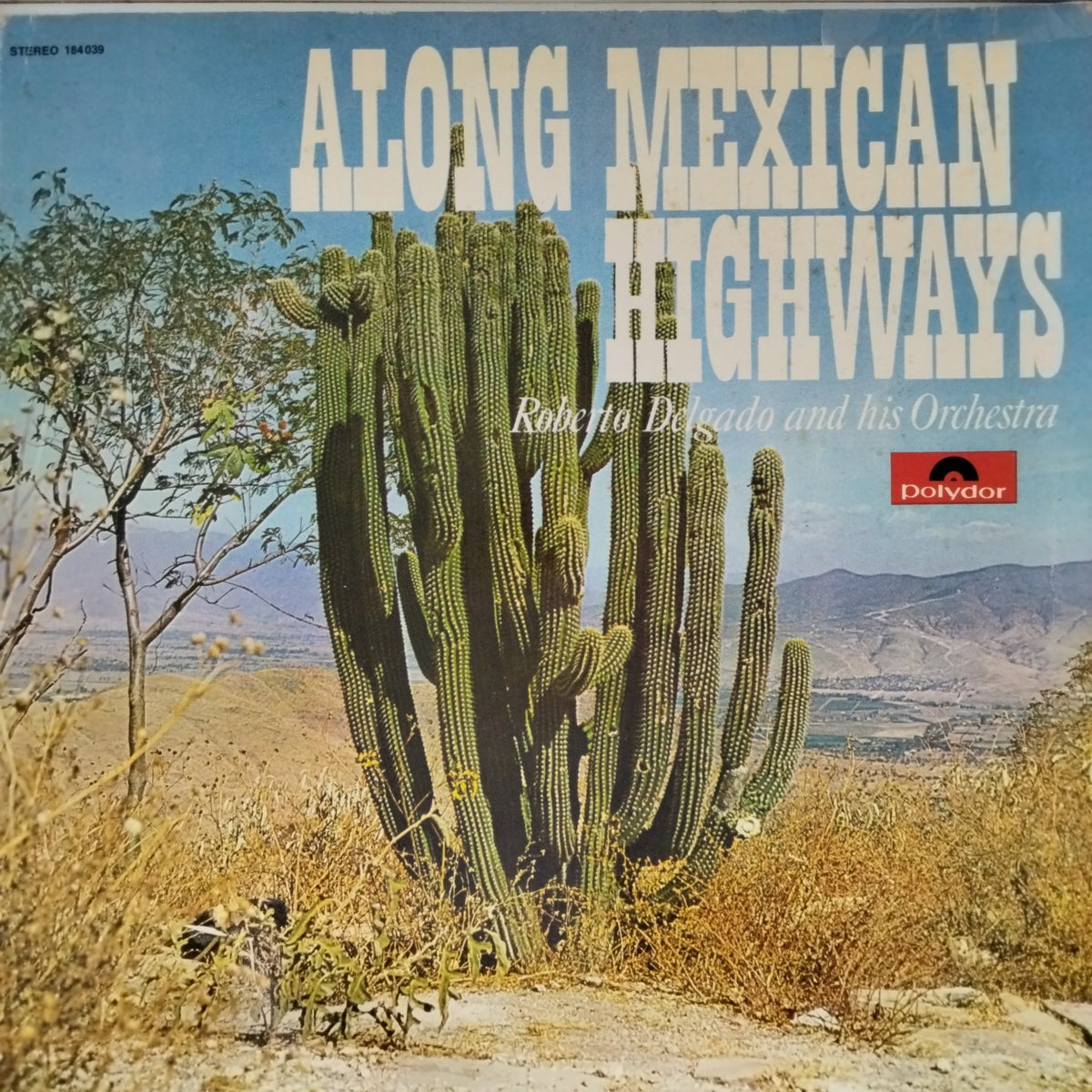 Roberto Delgado and his Orchestra - Along Mexican Highways (Vinyl)