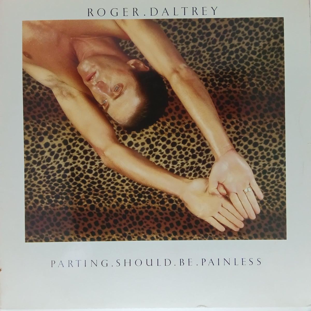 Roger Daltrey - Parting Should Be Painless (Vinyl)