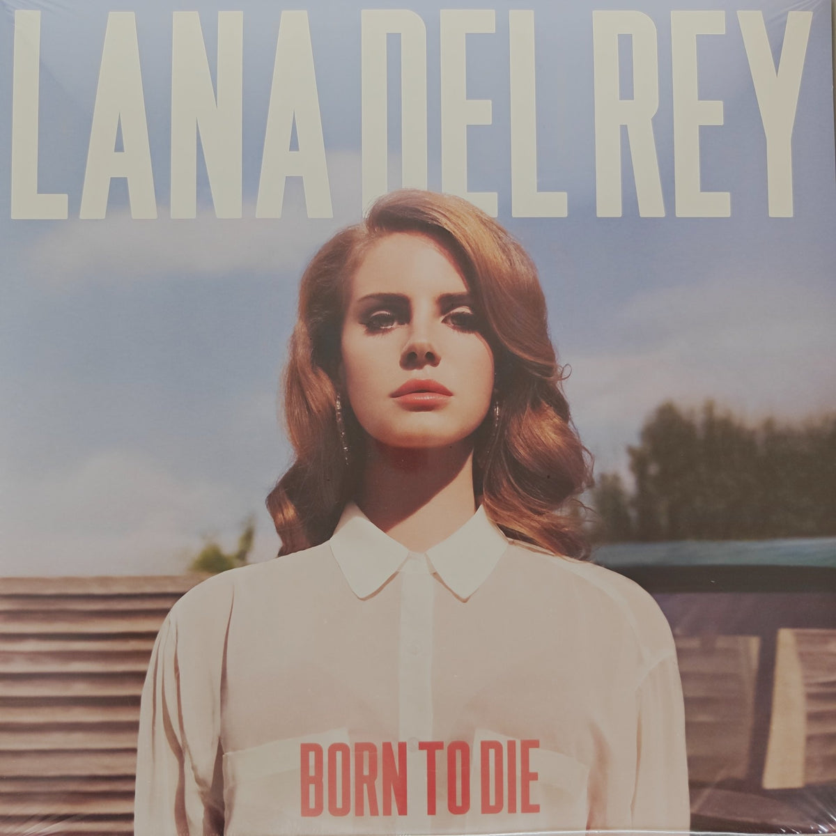 Lana Del Rey - Born to Die (Vinyl) (2)