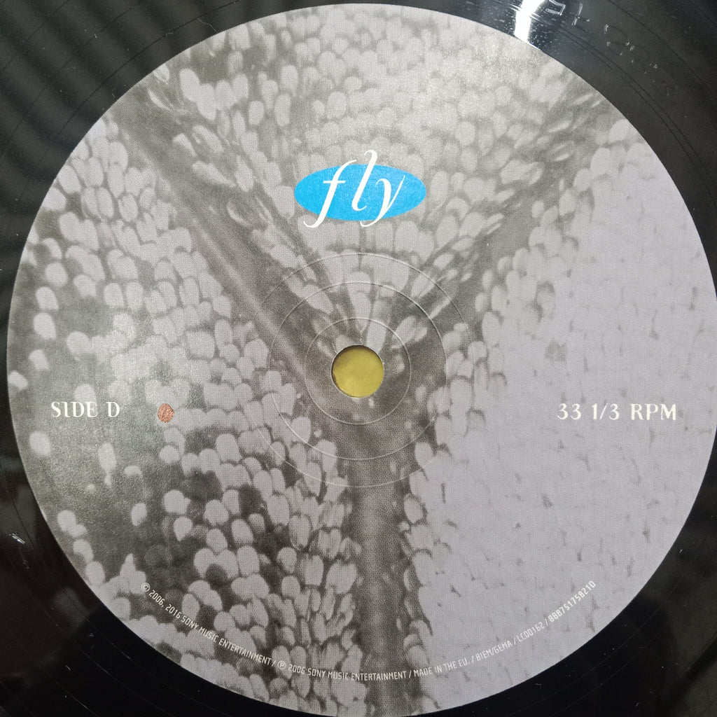 Dixie Chicks - Fly (Vinyl)