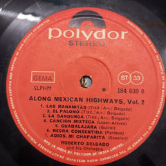 Roberto Delgado - Along Mexican Highways, Vol. 2 (Vinyl)