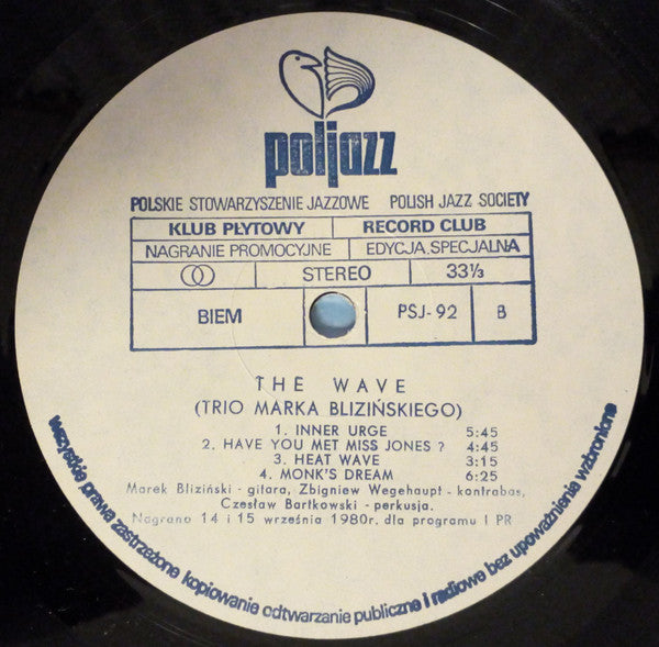 Marek BliziÅ„ski - The Wave (Vinyl) Image