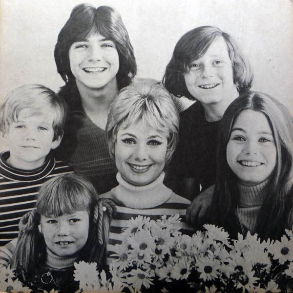 Partridge Family, The - Shopping Bag (Vinyl) Image