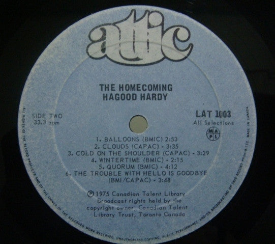 Hagood Hardy - The Homecoming (Vinyl) Image