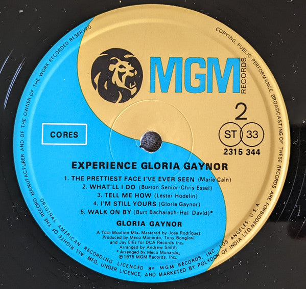 Gloria Gaynor - Experience (Vinyl) Image