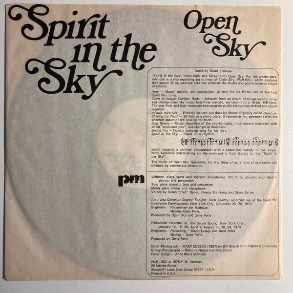 Open Sky - Spirit In The Sky (Vinyl) Image