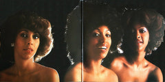 Three Degrees, The - New Dimensions (Vinyl) Image