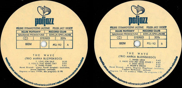 Marek BliziÅ„ski - The Wave (Vinyl) Image