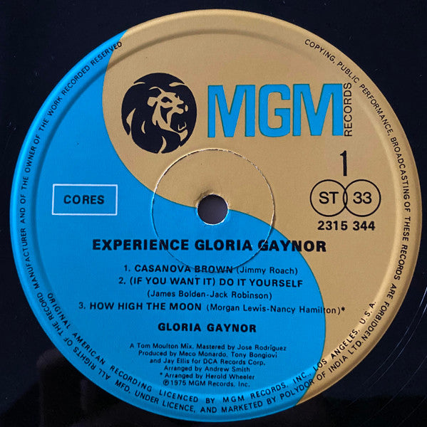 Gloria Gaynor - Experience (Vinyl) Image